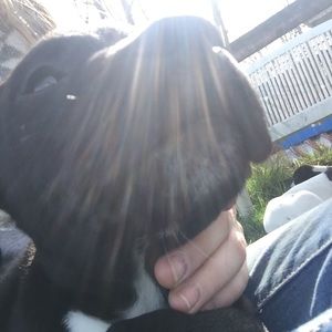 Meet your Posher, Trinity